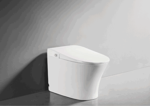 Bravat Elf.wish - Intelligence Toilet